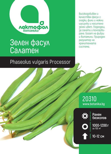 Green Bean Salad Botanic Seeds