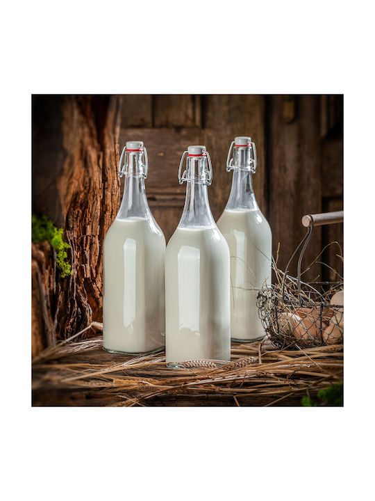 Kadax Μπουκάλι Νερού Γυάλινο με Κλιπ Διάφανο 1000ml 5 Τεμάχια