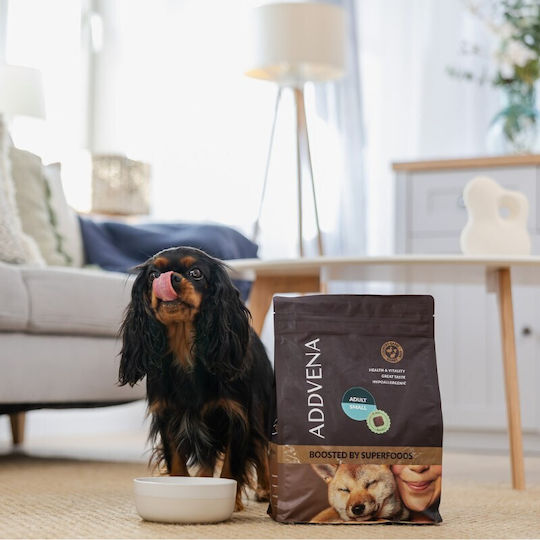 Dog Food 2.5kg Dry Dog Food Grain-Free for Adult Small Breed Dogs with Beef