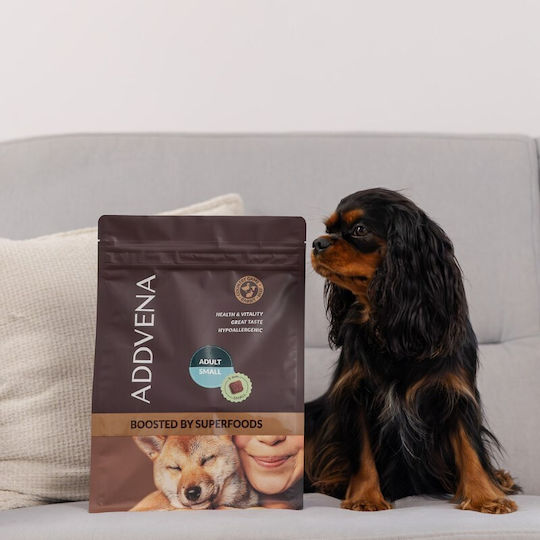 Dog Food 2.5kg Dry Dog Food Grain-Free for Adult Small Breed Dogs with Beef