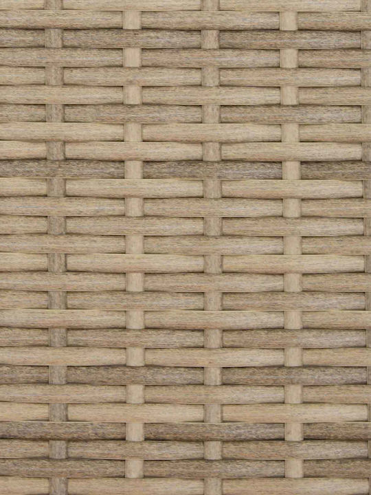 Γωνιακός Καναπές Εξωτερικού Χώρου Rattan με Μαξιλάρια