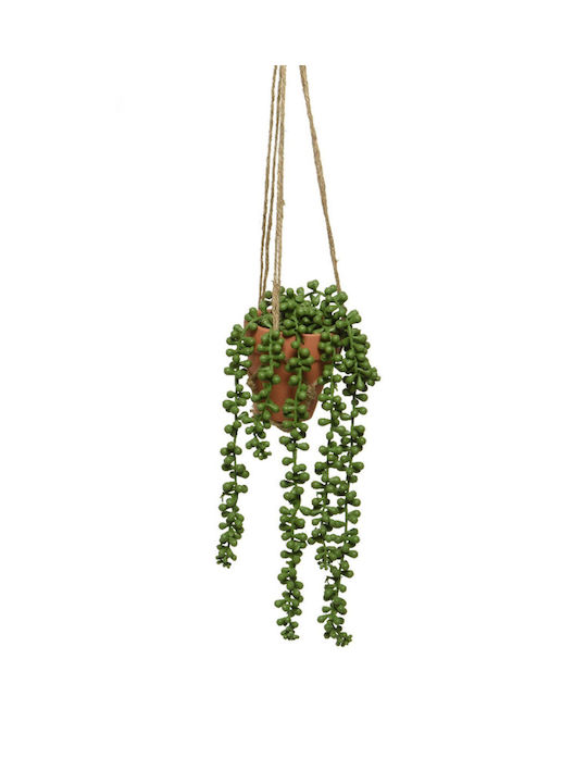 Plantă Suculentă Ghiveci Ceramic Agățat 10x10x40cm Model 3 Kaeming