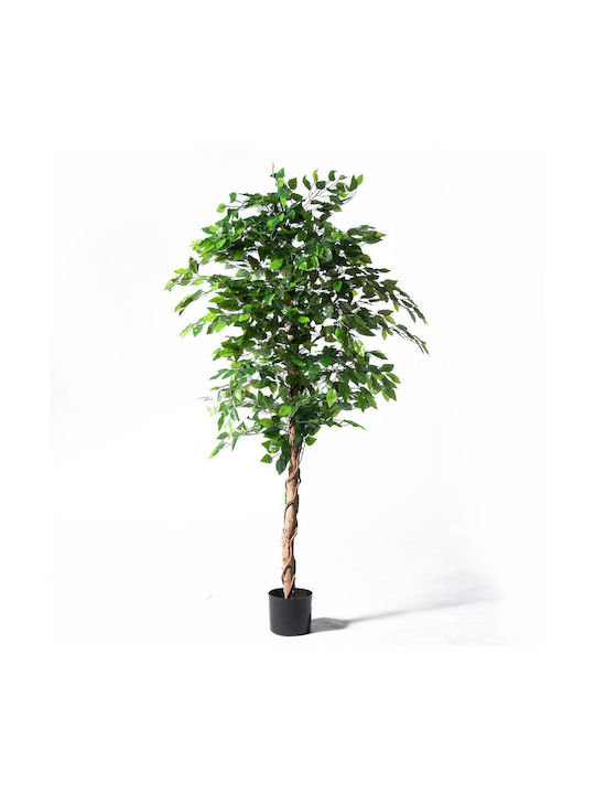 Supergreens Uv Τεχνητό Δέντρο Φίκος Πράσινο 180 Εκ Supergreens Uv Τεχνητό Δέντρο Φίκος Πράσινο 180 Εκ