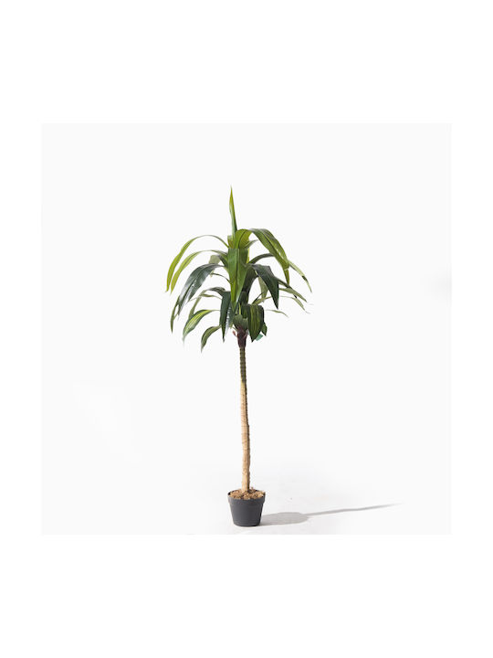 Supergreens Dekorative Künstliche Dracaena Baum Im Freien Grüne Höhe 170 cm 6-0317