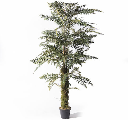 Supergreens Artificial Fern Tree 260 Cm 6-0828 Supergreens Artificial Fern Tree 260 Cm 6-0828