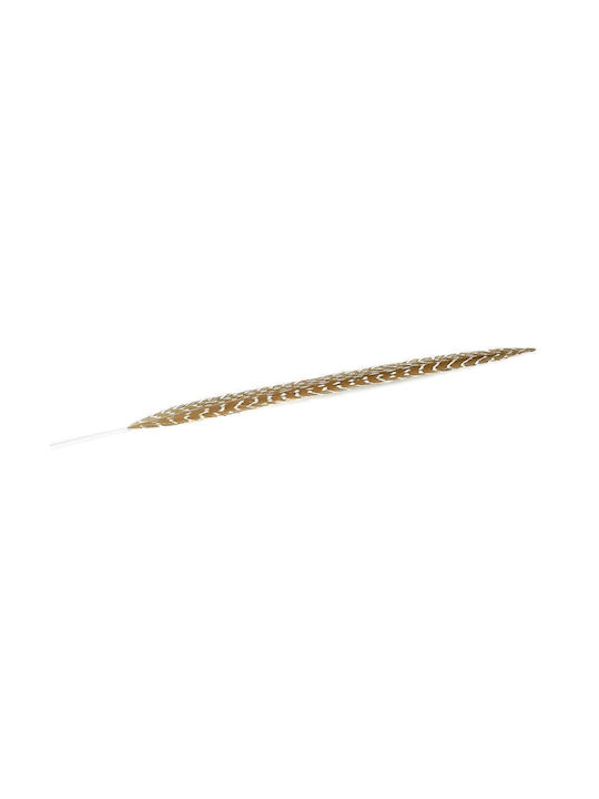 Decorative Feather Brown 80cm 12pcs Espiel