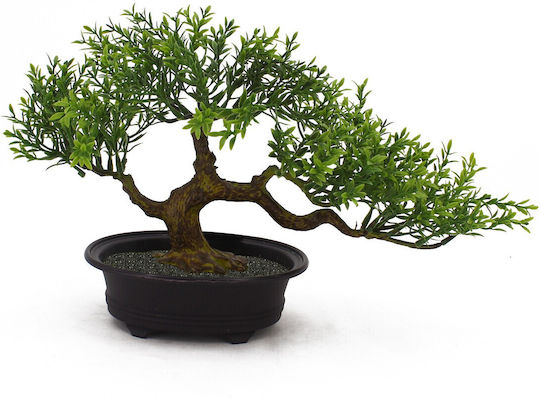 Bonsai In A Pot Supergreens