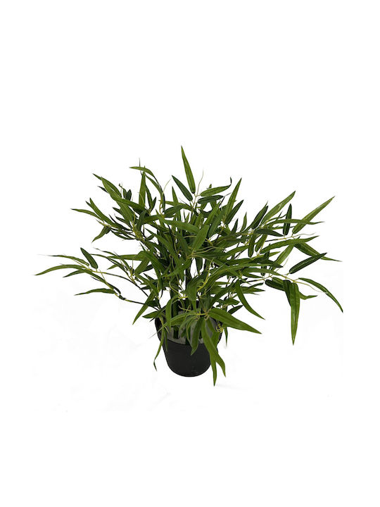 Artificial Plant in Pot Bamboo Green 50cm Supergreens