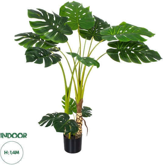 Monstera in Potted Plant GloboStar Monstera in Potted Plant GloboStar
