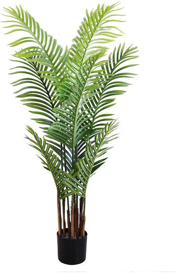 Outdoor Palm Tree Newplan