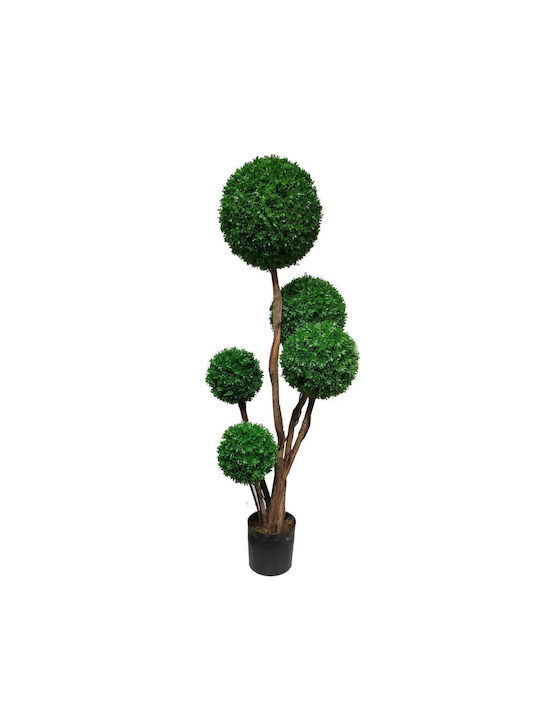 Supergreens Außenterrasse Rosen