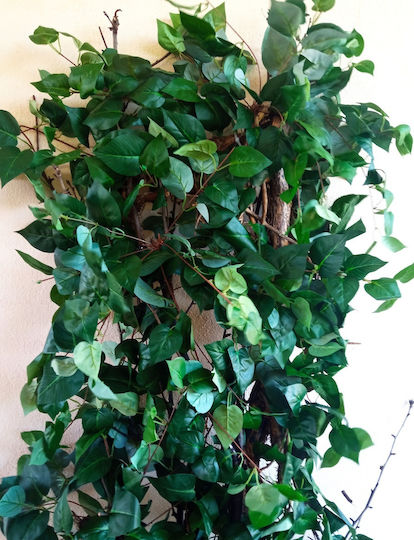 Decorative Artificial Plant