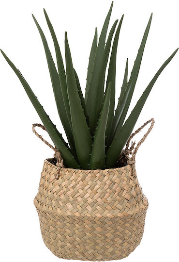Aloe Aloe in Pot Beige Atmosphera Aloe Aloe in Pot Beige Atmosphera