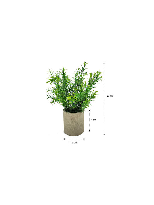 Τεχνητό Φυτό σε Γλαστράκι 23cm Home & Camp