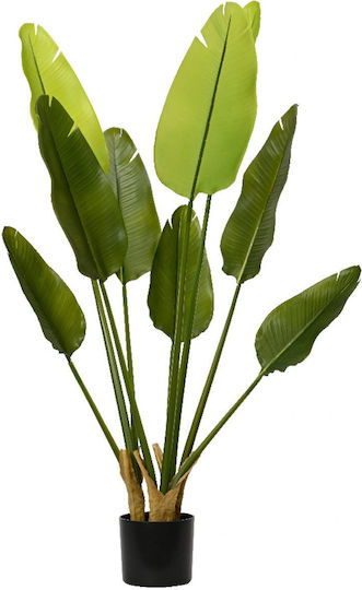 Plantă Artificială în Ghiveci Kaemingk Plantă Artificială în Ghiveci Kaemingk