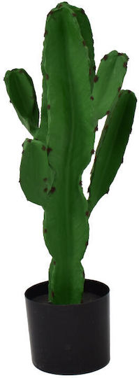 Cactus in a Potted Plant InTheBox