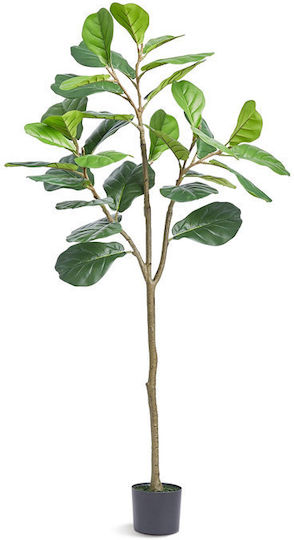 Vevor Outdoor Ficus Tree