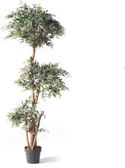 Supergreens Artificial Ruscus Tree Green 150 cm