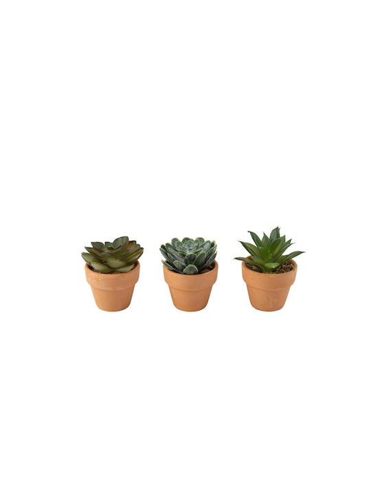Plantă Artificială În Ghiveci Beauty Home