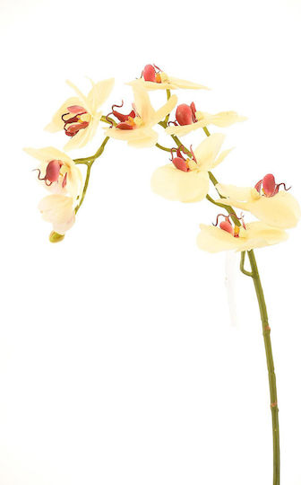 7083 Supergreens