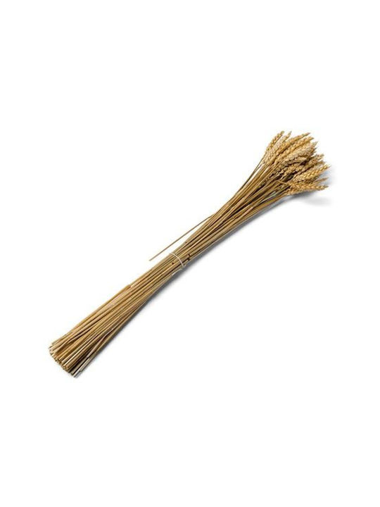 Grâu Uscat 70g 60cm Frumusețe Acasă