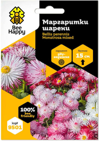 Bee Happy Daisy Mixed Seeds