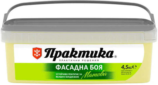 Vopsea Pentru Fațade Igloo 4.5 Kg Praktika