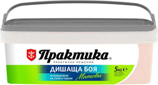 Innen- und Außenfarben für Häuser Farbname Magnolia 5 Kg Praktika