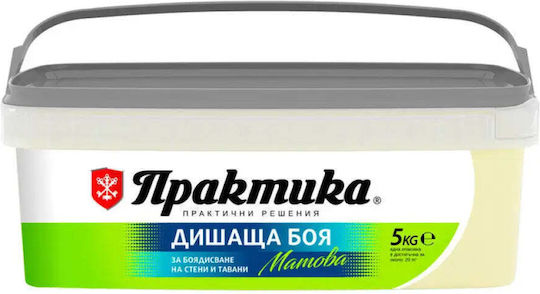 Interior Paint Cream Color 5 Kg Praktika
