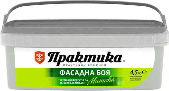 Facade Paint Granite 4.5 Kg Praktika
