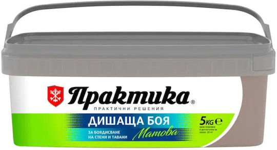 Interior Paint Color Cocoa 5 Kg Praktika
