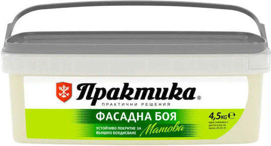 Фасадна Боя Макчиато 4.5 Кг Praktika