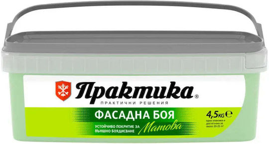 Facade Paint Avocado 4.5 Kg Praktika