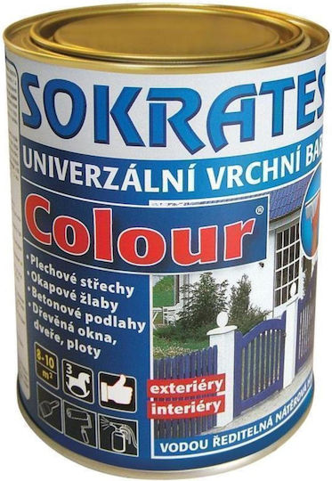 Vopsea Acrilică 0,7 Kg Violetă