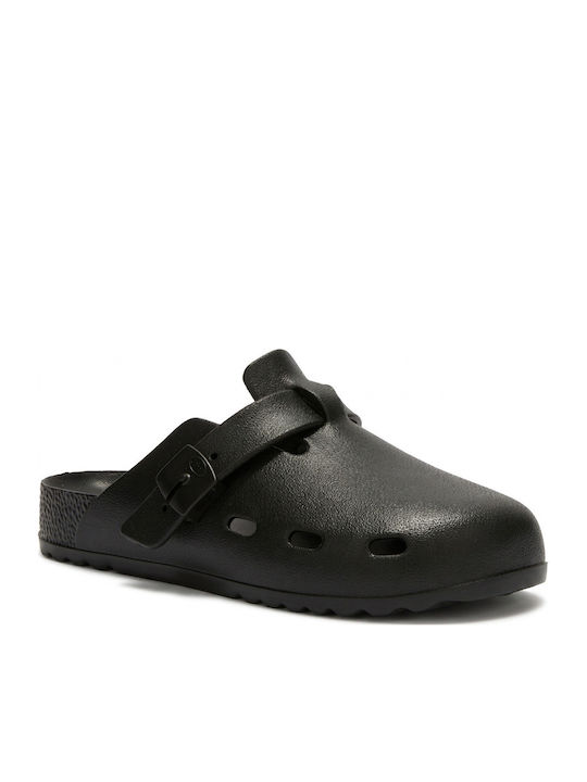 Scholl Scholl
