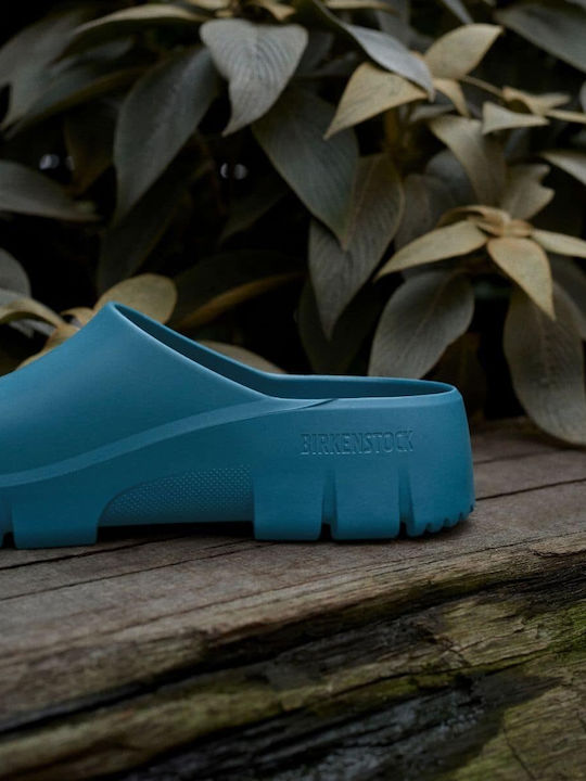 Birkenstock Anatomic Clogs Blue