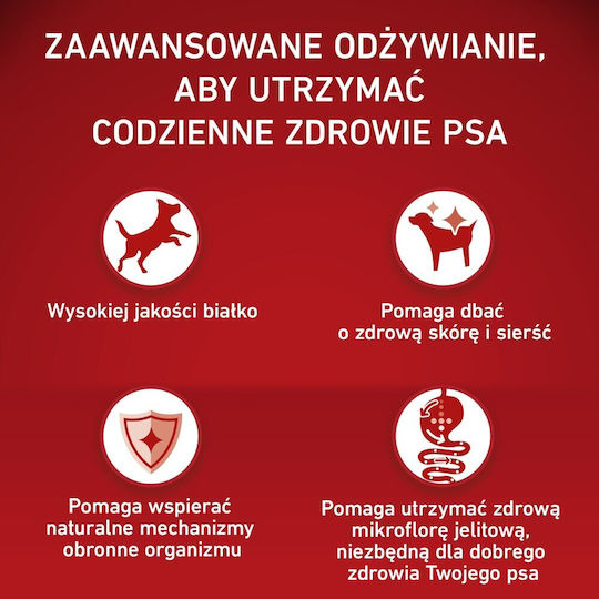 Purina One 12kg Dry Dog Food with Chicken and Rice