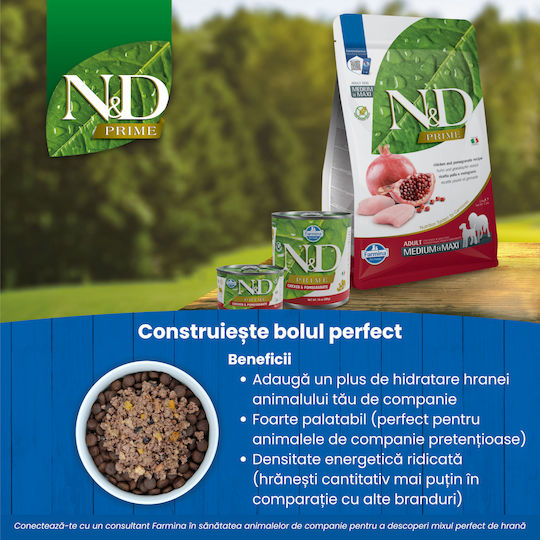 Farmina N&D Grain Free Puppy Maxi 2.5kg Dry Food Grain-Free for Large Breed Puppies with Chicken and Pomegranate