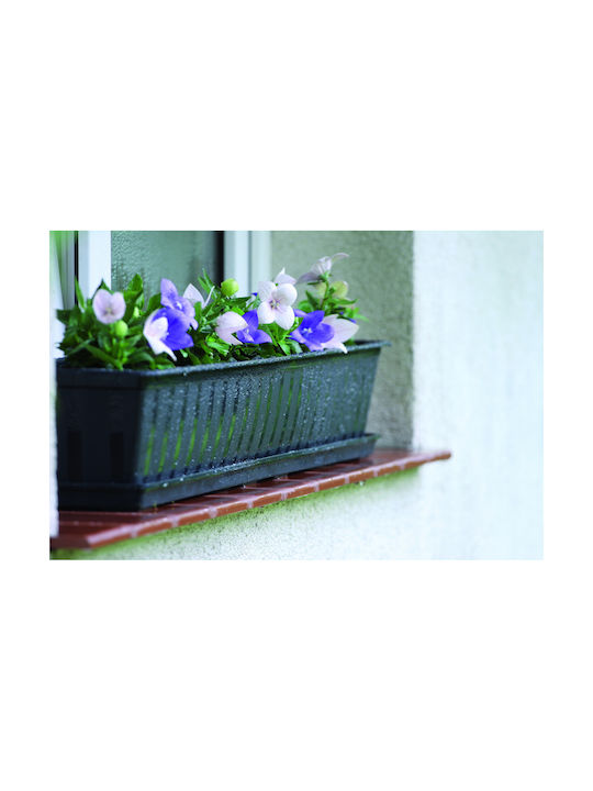 Prosperplast Ghiveci de Flori din Plastic Maro