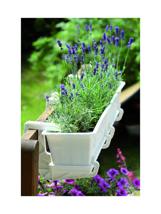 Prosperplast Plastic Flower Pot Brown Prosperplast Plastic Flower Pot Brown