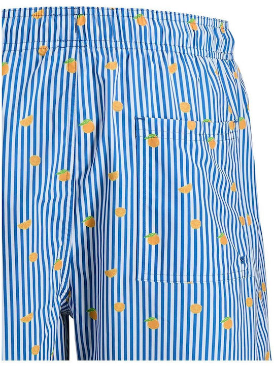 Men's Swimwear Shorts Delft with Stripes