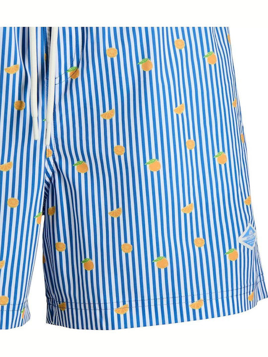 Men's Swimwear Shorts Delft with Stripes
