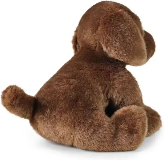 Rappa Plush Puppy for Newborns 21 cm
