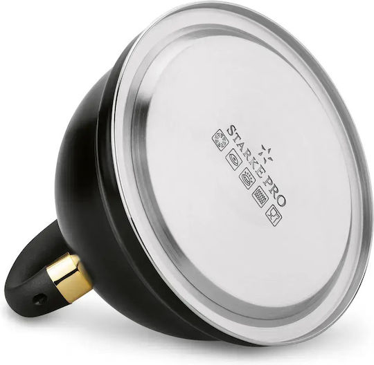 Starke Pro Stainless Steel Gray Boiler 3000ml