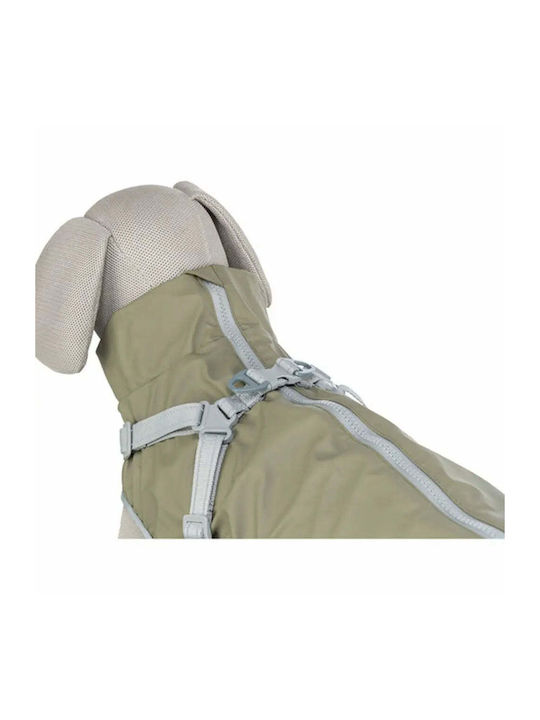 Hundemantel Grün XSklein mit Rückenlänge 30 cm.