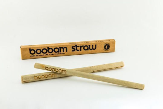 Boobam Straws Bamboo Beige with Brush with Brush 2pcs