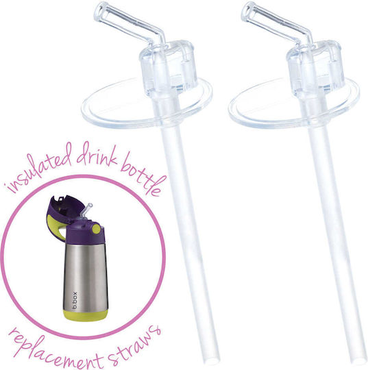 B Replacement Straw Nipple Thermos Box 2 Pcs