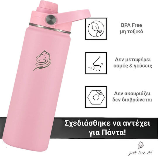 Cool'NMore Stainless Steel Thermos Bottle BPA Free 500ml Flamingo with Straw and Handle