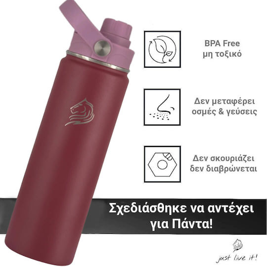 Cool'NMore Бутилка Термос Неръждаема Стомана Без BPA 500ml Многоцветна с Сламка и Дръжка