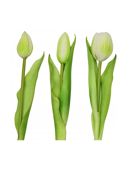 Μπουκέτο από Τουλίπα Λευκό 31cm Saska Garden